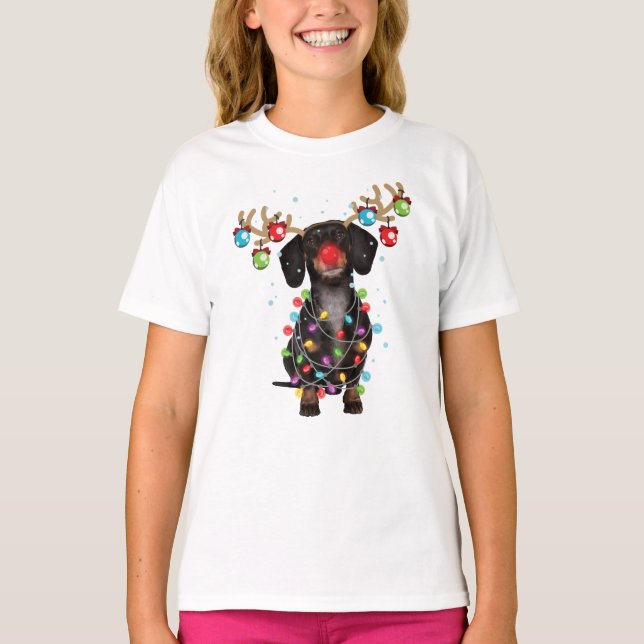Cute Dachshund Dog Funny Christmas Holiday Gifts T-Shirt (Front)