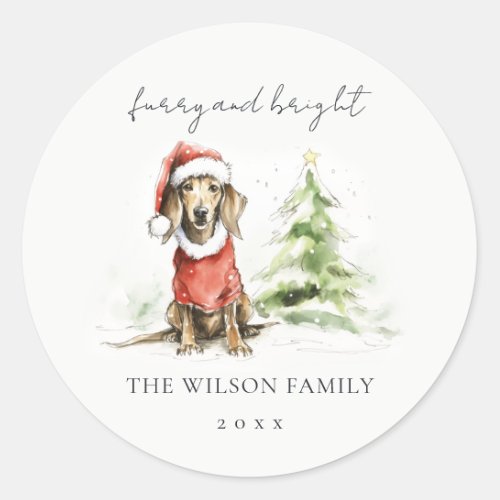 Cute Dachshund Dog Furry and Bright Christmas Classic Round Sticker