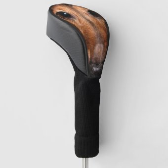 Cute Dachshund Dog Golf Head Cover | Zazzle