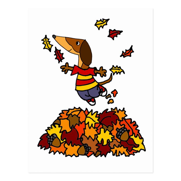 Cute Dachshund Dog Jumping in Leaf Pile Postcard