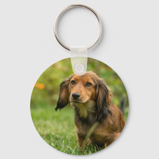 Cute Dachshund dog Keychain (Front)
