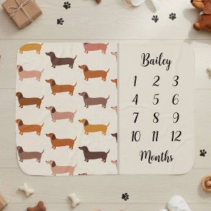 Cute Dachshund Dog Milestone Baby Blanket
