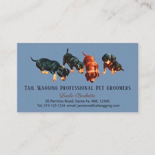 Cute Dachshund Doxie Puppies Pet Grooming Blue Business Card