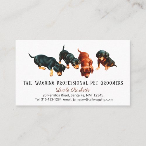 Cute Dachshund Doxie Puppies Pet Grooming Business Card