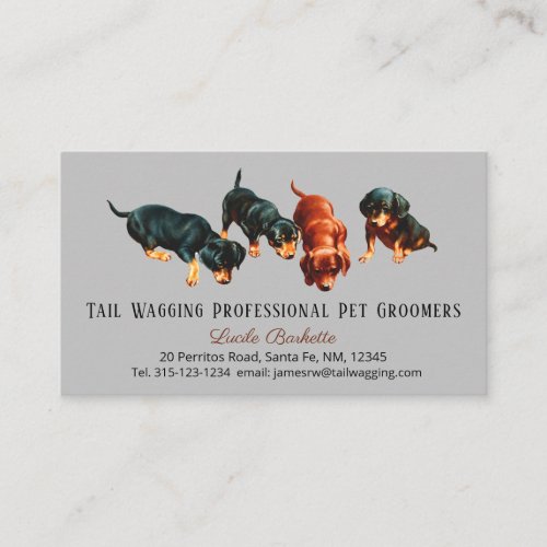 Cute Dachshund Doxie Puppies Pet Grooming Gray Business Card