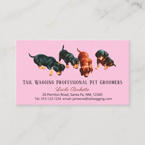 Cute Dachshund Doxie Puppies Pet Grooming Pink Business Card