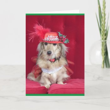 Cute Dachshund Dressed For Christmas Holiday Card by CullyBearDesigns at Zazzle