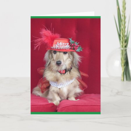 Cute Dachshund Dressed For Christmas Holiday Card