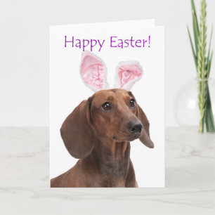Cute Dachshund Easter Card