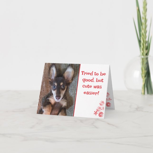 Cute Dachshund Folded Holiday Card (Front)