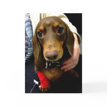 Cute Dachshund get well soon card
