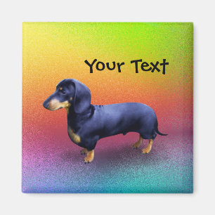 Cute Dachshund in a Rainbow Magnet