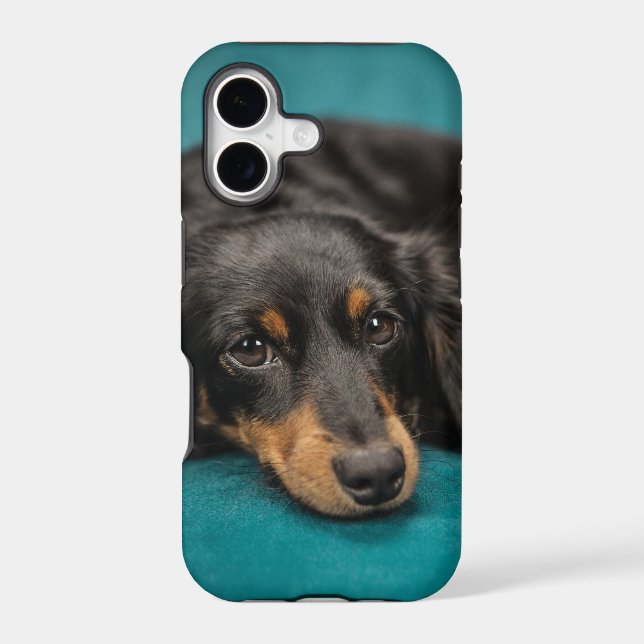 Cute Dachshund Laying Down Iphone Case (Back)