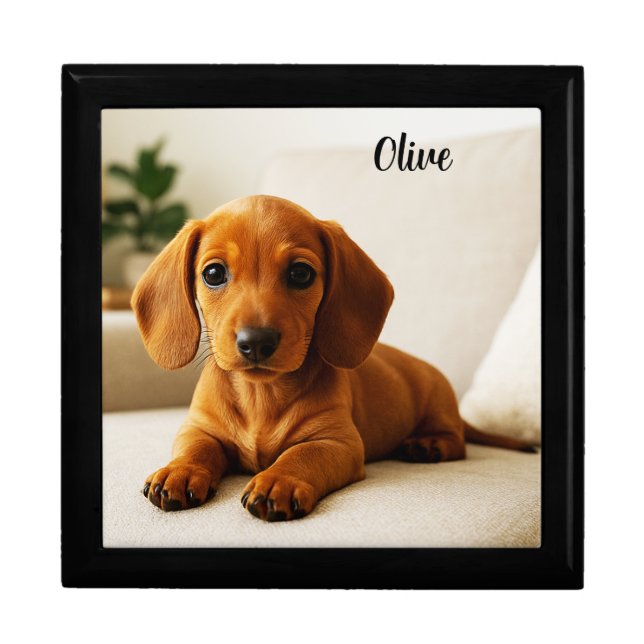 Cute Dachshund Personalized Jewelry Keepsake Box (Front)