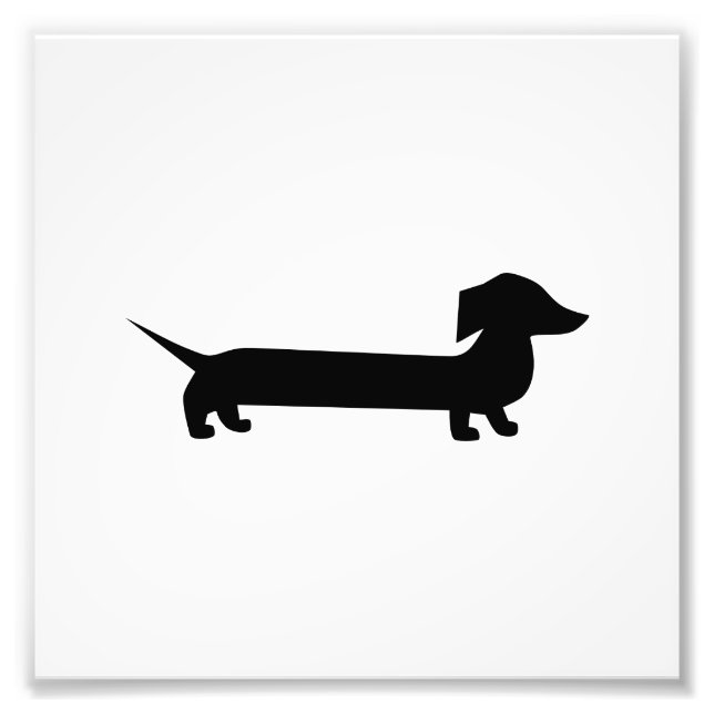 Cute Dachshund Photo Print (Front)