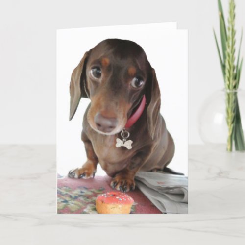 Cute dachshund Pluto sorry face greeting card