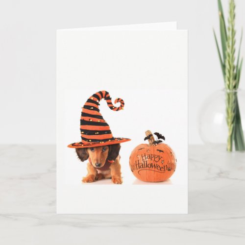 Cute Dachshund pup Halloween Card