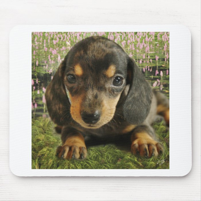 Cute Dachshund  Puppy (Black/Grey) on the Lake Mouse Pad