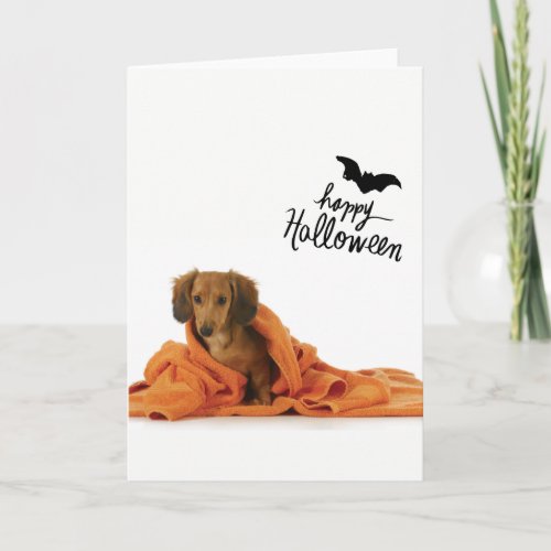 Cute Dachshund puppy in orange blanket Halloween Card