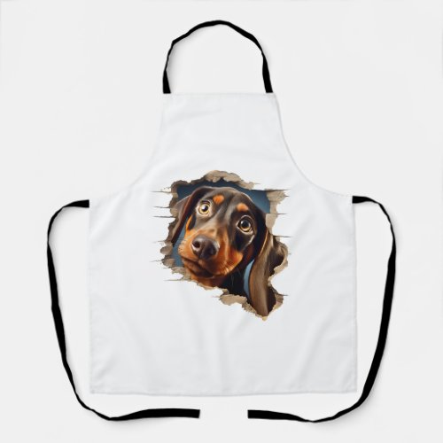 Cute dachshund puppy peeking in   apron