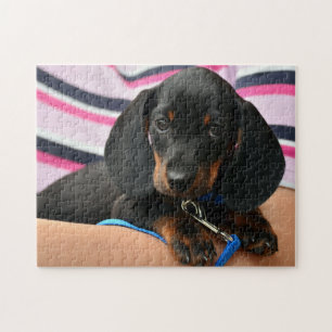 Cute Dachshund Puppy Photo Jigsaw Puzzle