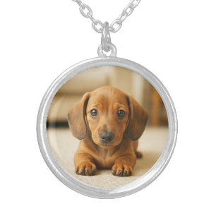 Cute Dachshund Round Silver Plated Necklace