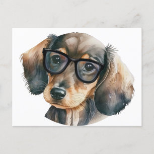 Cute Dachshund with black glasses  Postcard