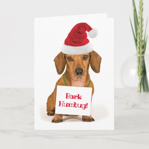 Cute Dachshund with Santa Hat Bark Humbug Holiday Card
