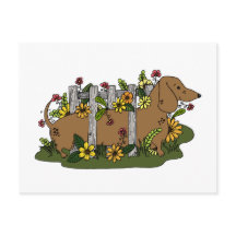 Cute Dachsund Postcard or Mini Art Print