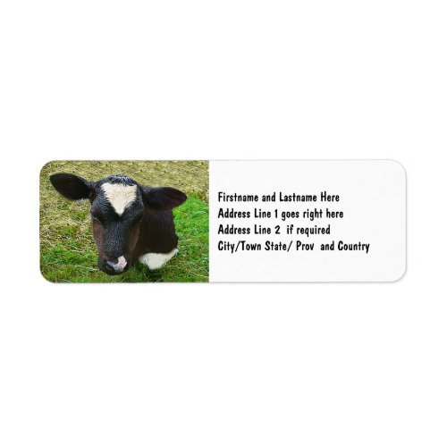 Cute Dairy Cow Calf Label