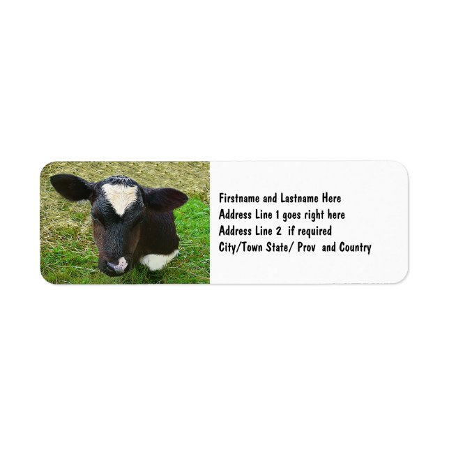 Cute Dairy Cow Calf Label (Front)