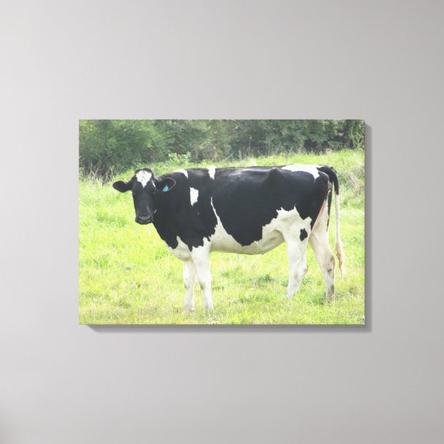 Cute Dairy Cow Photo Wall Canvas Art (Front)