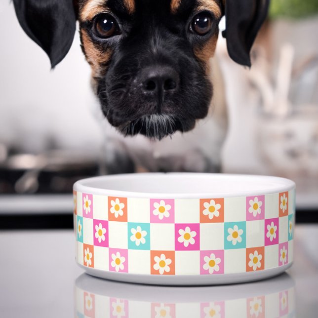 Cute Daisy Chequerboard Simple Colorful Pet Bowl (Cute dog bowl with colorful daisy chequerboard pattern)