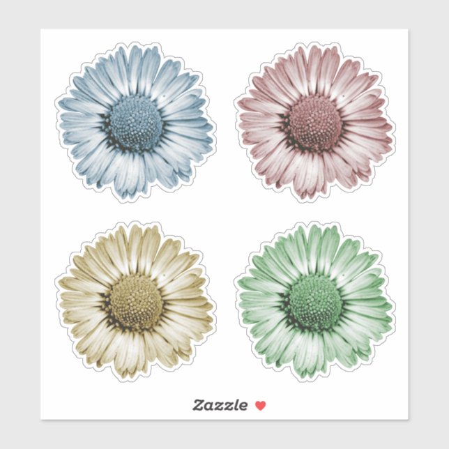 Cute Daisy Flower Heads Set of Four Colors Sticker (Sheet)