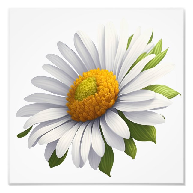 Cute Daisy. Power of Flowers Photo Print (Front)