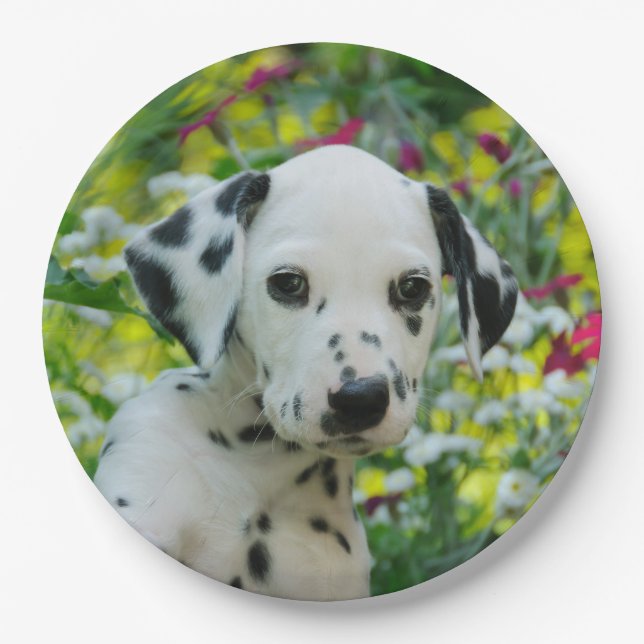 Cute Dalmatian Dog Cute Puppy Portrait - Paper Plates (Front)