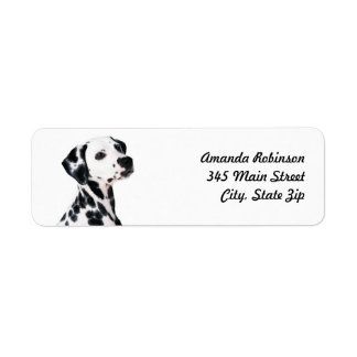 Cute Dalmatian Dog Label