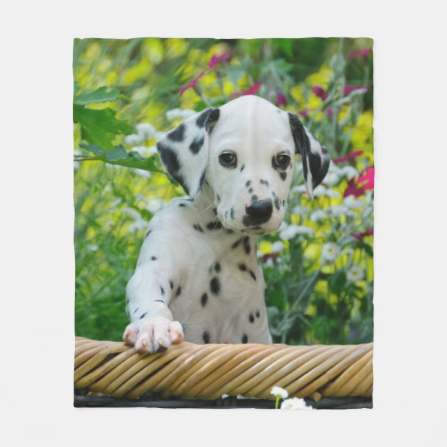 Cute Dalmatian Dog Puppy, comfort Fleece Blanket (Front)