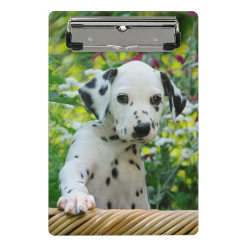 Cute Dalmatian Dog Puppy Portrait Pet Photo on a Mini Clipboard