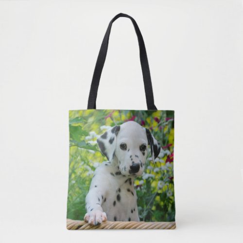 Cute Dalmatian Dog Puppy Portrait Photo _ Tote Bag