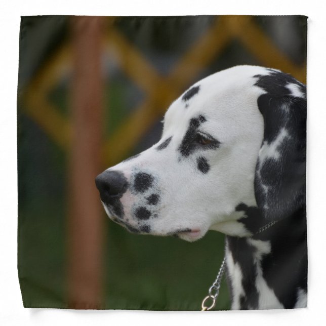 Cute Dalmatian Puppy Bandana (Front)