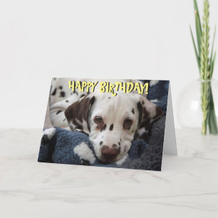 Cute dalmatian puppy birthday card