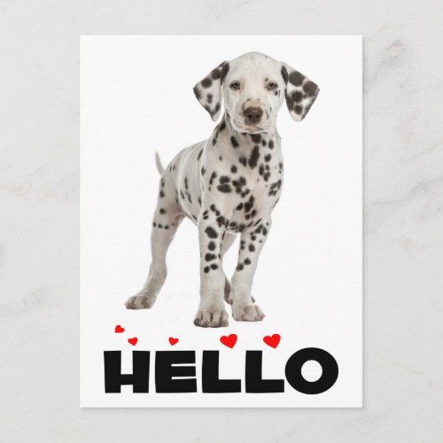 Cute Dalmatian Puppy Dog Hello Thinking of You Postcard