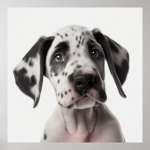 Cute Dalmatian Puppy Dog Portrait Poster