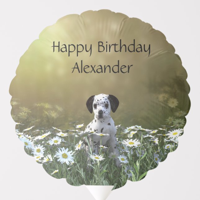 Cute Dalmatian Puppy in Daisies Balloon (Front)