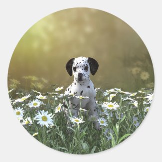 Cute Dalmatian Puppy in Daisies