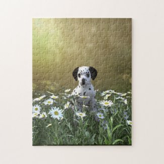 Cute Dalmatian Puppy in Daisies