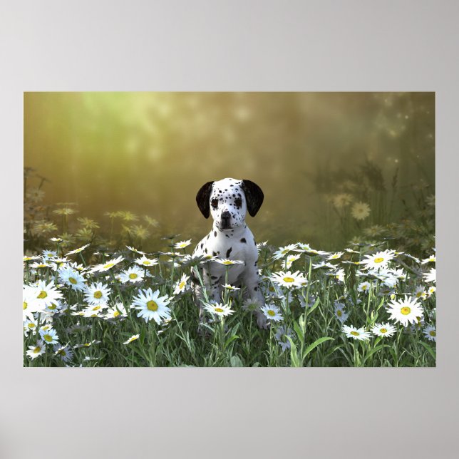 Cute Dalmatian Puppy in Daisies Poster (Front)