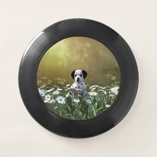 Cute Dalmatian Puppy in Daisies Wham-O Frisbee (Front)