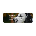 Cute Dalmatian Puppy Label
